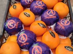 Апельсин Fukumoto