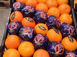 Апельсин WASHINGTON