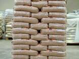 Wood pellet/ Quality Enplus Oak wood and Enplus Beech wood pellet for sale worldwide - фото 1
