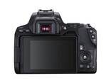 Cameră DSLR Canon EOS Rebel SL3 cu obiectiv de 18-55 mm (negru) (3453C002) Pachet suplimen - фото 3