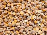 Закупаем жировые продукты, отходы и побочные продукты масложировой отрасли - фото 8