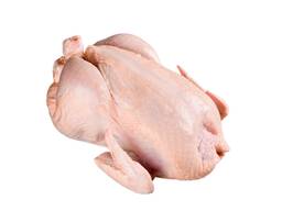 Cheap Wholesale Top Quality Halal Frozen Whole Chicken and parts In Bulk