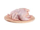Cheap Wholesale Top Quality Halal Frozen Whole Chicken and parts In Bulk - фото 3
