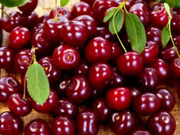 Cirese, visine, capsune, varza, fructe uscate, sucuri