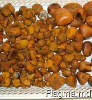 Cow ox gallstone for sale