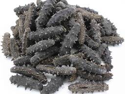 Dried Sea Cucumber