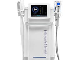 Емс с эндосферой вместе в Кишинев