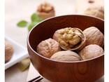Factory Supply Lowest Price Walnut Inshell Wholesale Cheap Price Exporters - фото 6
