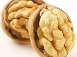 Factory Supply Lowest Price Walnut Inshell Wholesale Cheap Price Exporters - фото 8