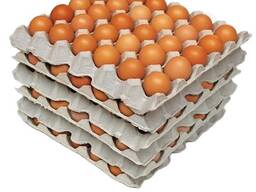 Farm Fresh Chicken Table Brown and White Eggs for sale/ Fertilized Hatching Eggs price