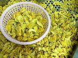 Freeze dried fruits wholesale - photo 6