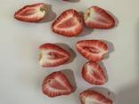Freeze dried fruits wholesale - photo 13