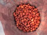 Freeze dried fruits wholesale - photo 14