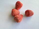 Freeze dried fruits wholesale - photo 15