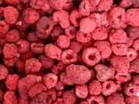 Freeze dried raspberry - фото 1