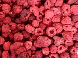 Freeze dried raspberry