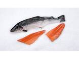 Frozen Coho Salmon Fillet, Skin on - фото 1