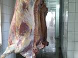 Говядина Халяль - фото 1
