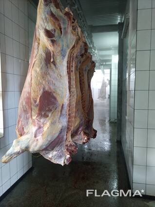 Говядина Халяль