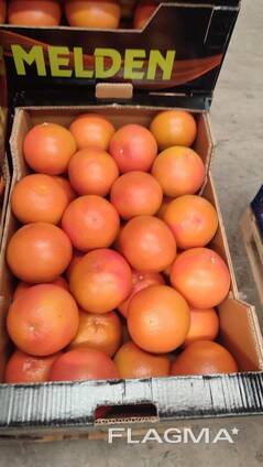 Грейпфрут STARRUBY