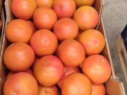 Грейпфрут STARRUBY