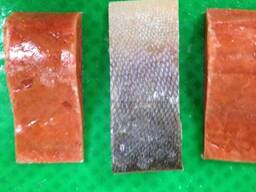 High quality seafood fresh Salmon frozen fish, Salmon Fillets, Mackerel Fish, Cod Fish