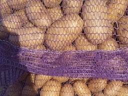 Картофель, капуста