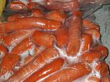 Картофель, Kапуста, Морковь - фото 2