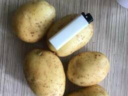 Картофель - Огромный объём - идеальное качество