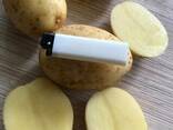 Картофель - Огромный объём - идеальное качество - photo 1