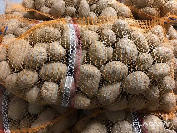 Картофель свежий. EC