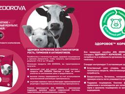 Комбикорма, премиксы, БМВД для свиней, курей, КРС, кролей