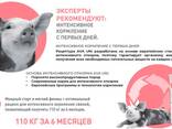Комбикорма, премиксы, БМВД для свиней, курей, КРС, кролей - фото 1