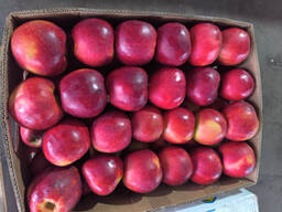 ОВОЩИ ФРУКТЫ