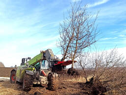 Корчеватель деревьев "клешня 3в1" для Сlaas - в наличии