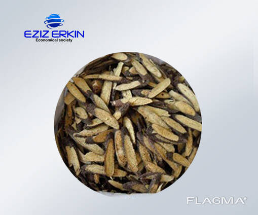 Корни и корневища солодки, резанные мелкими кусочками.