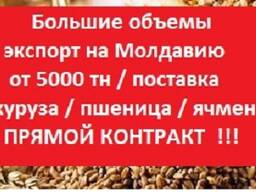 Купим на Молдову от 3000 т Пшеница, Ячмень, Кукуруза