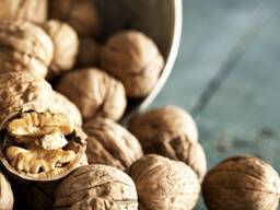 Куплю грецкий орех \ cumpăr nuci