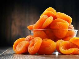 Курага Узбекистан все сорта