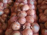 Лук 5,6,7,8 - фото 3
