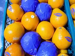 Апельсин прямой экспорт из Турции