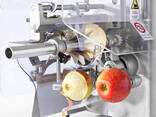 Машина для очистки, нарезания, удаления сердцевины яблок 70-100 кг/час