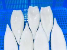 Мороженные морепродукты и рыба в Молдову от завода из Китая