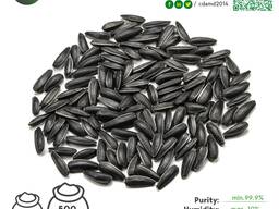 Black sunflower seeds N6LN 436 3.6