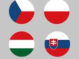 Оформленние ВНЖ Литвы, Венгрии, Словакии, Чехии на 1-2 года - фото 3