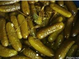 Огурцы соленые