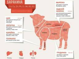 Оптом Баранина Халяль Украина LLC Mitlife