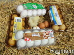 Packaging for eggs, berries, fruits, meat, biscuits