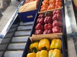 Перец калифорния болгарский кубовидный