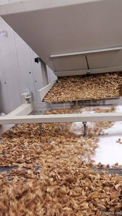 Переработка грецких орехов